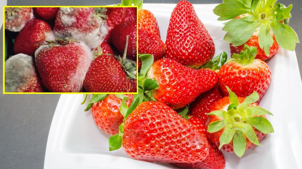 Truco casero para evitar hongos en fresas y frutos rojos
