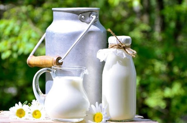 Usos y beneficios de la leche para el cuidado de las plantas