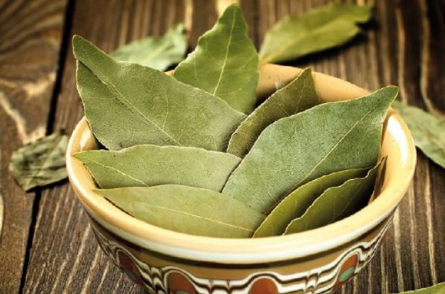 Truco con hoja de laurel para eliminar los malos olores en casa