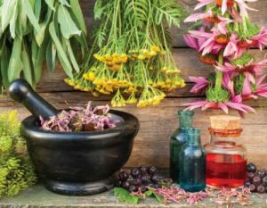 Los mejores y más efectivos antibióticos naturales que debes conocer