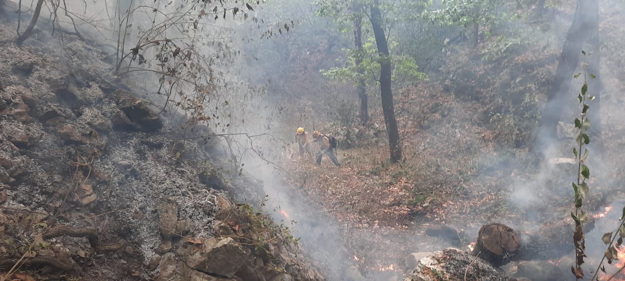Gobierno vigila incendio en Sierra de Santiago, Nuevo León; podría salirse de control