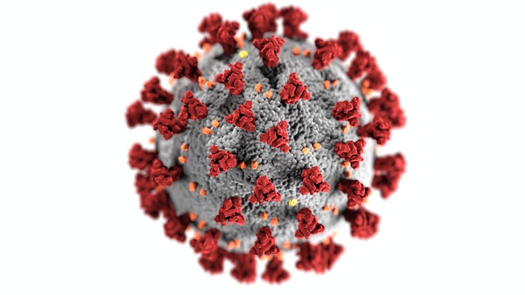 un-nuevo-virus-similar-a-ebola-listo-para-saltar-a-humanos