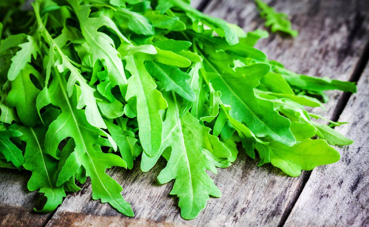 Arúgula, la hortaliza que ayuda a prevenir diabetes y Alzheimer