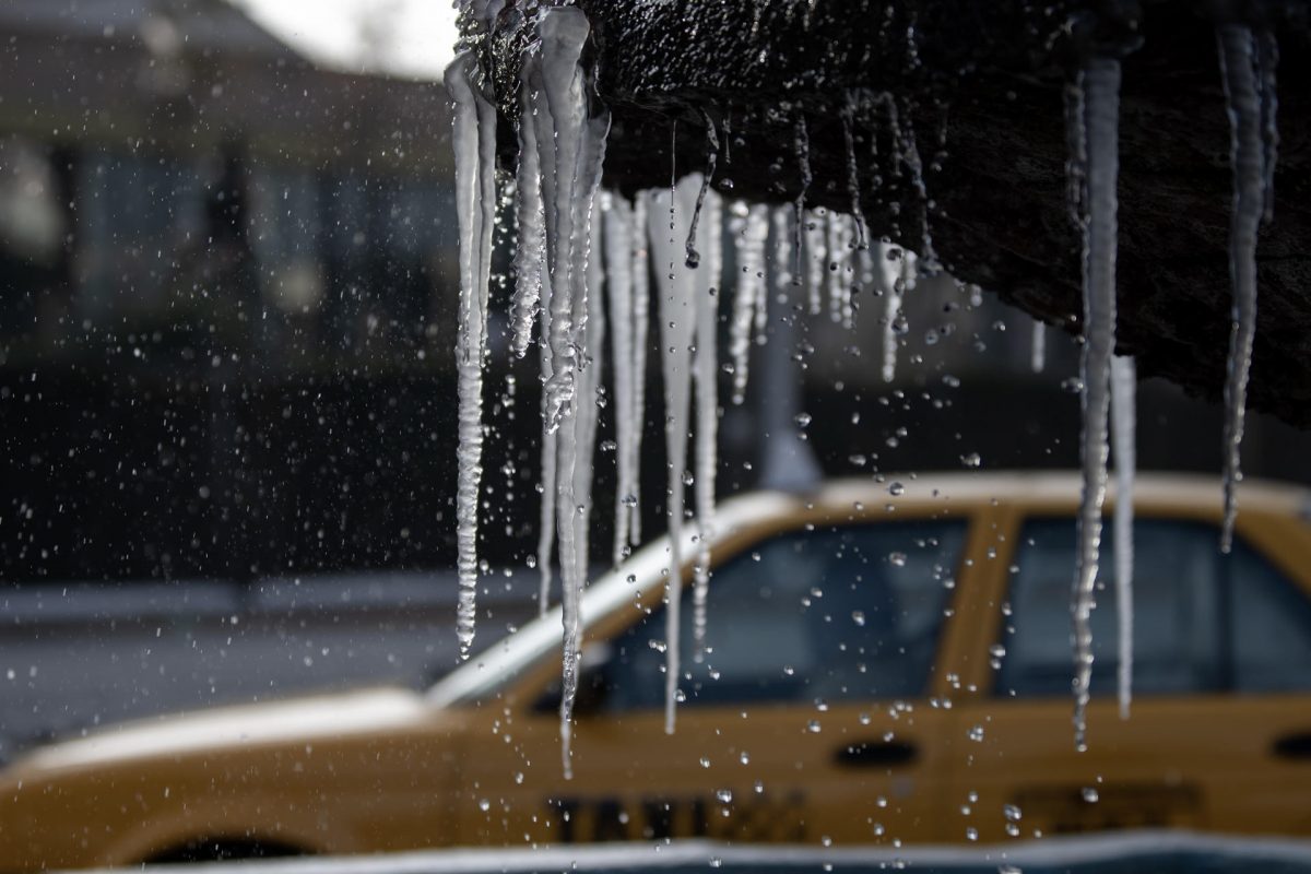 Alerta: Llega octava tormenta invernal a México, ‘congelará’ estos estados