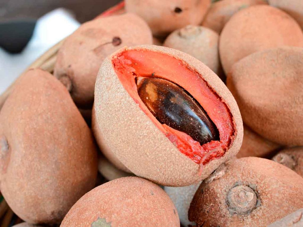 Beneficios-del-mamey