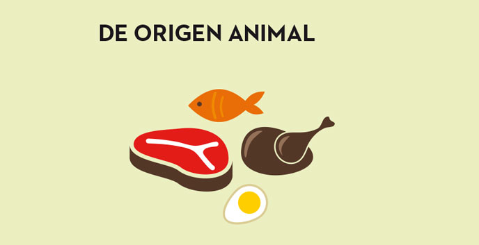 alimentos-de-origen-animal