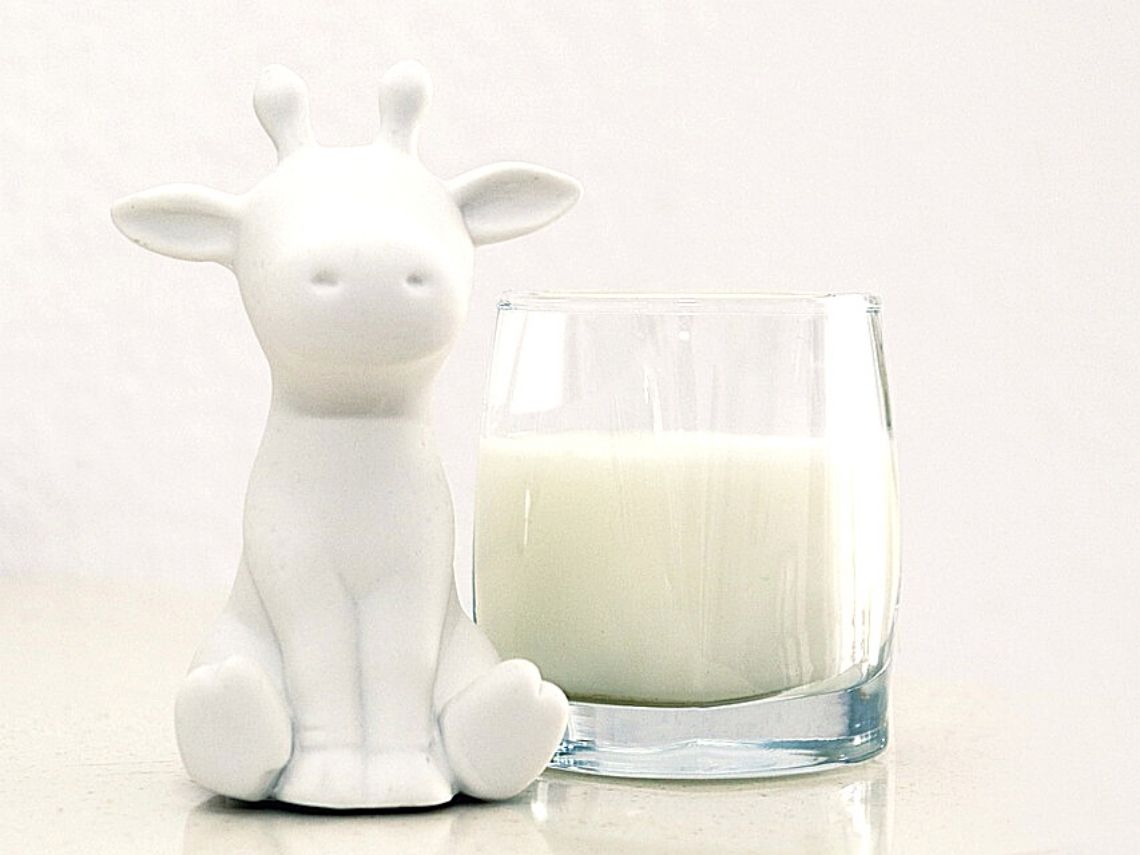 leche-lactosa-y-galactosa
