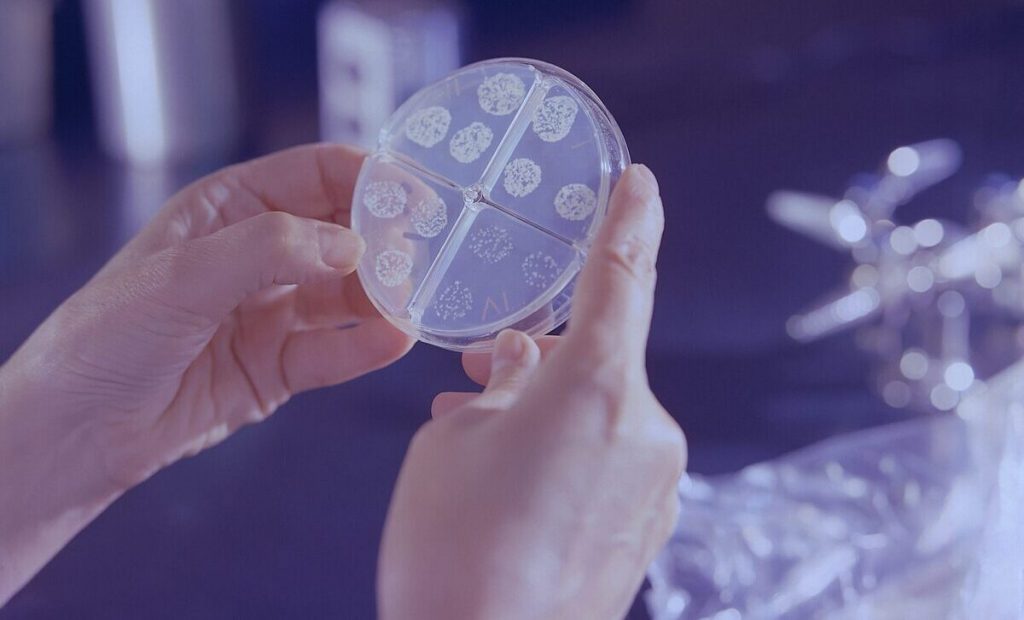 oms-alerta-por-creciente-resistencia-de-bacterias-infecciosas-a-farmacos