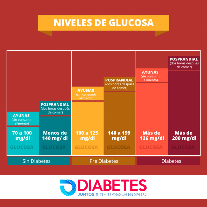 Descubre Cuáles Son Los Niveles óptimos De Glucosa En Tu Cuerpo