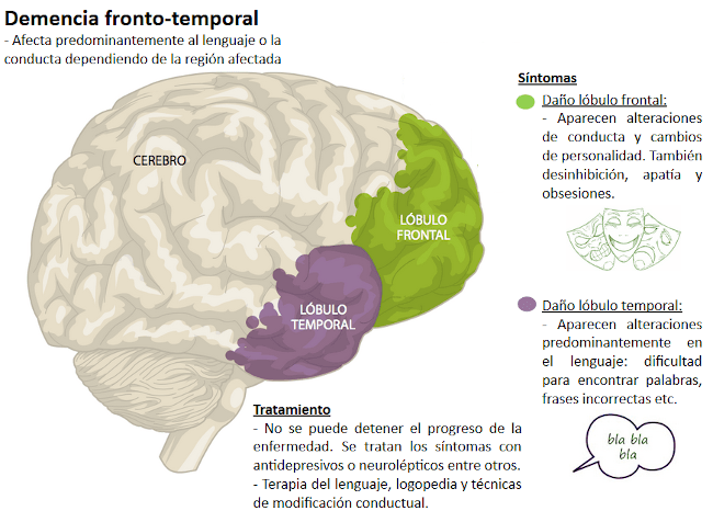 frontotemporal4