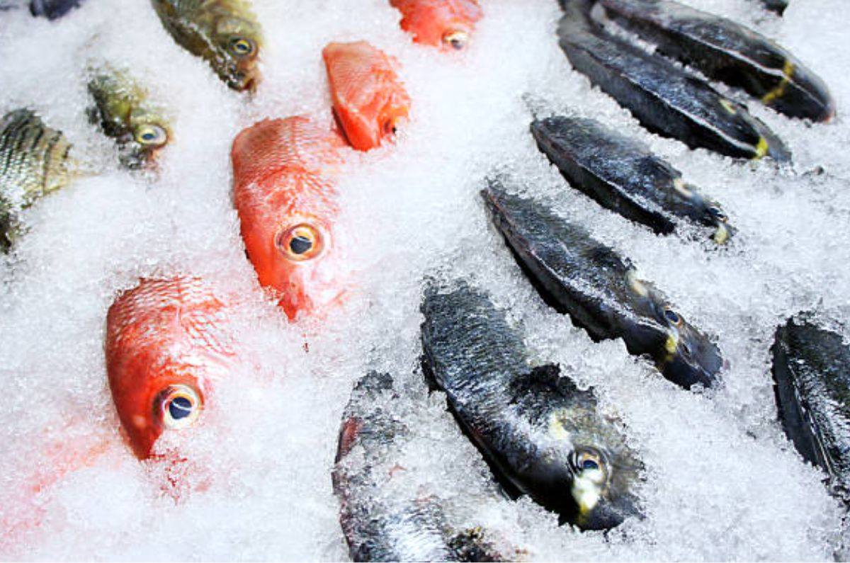 Así es el fraude del pescado congelado que Profeco quiere que evites