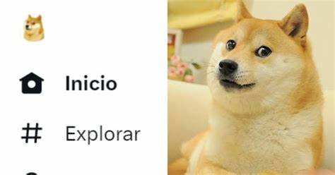 twitter-cambia-ave-por-doge