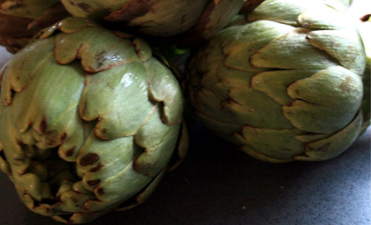 Corazones de alcachofa: Usos en la cocina y beneficios