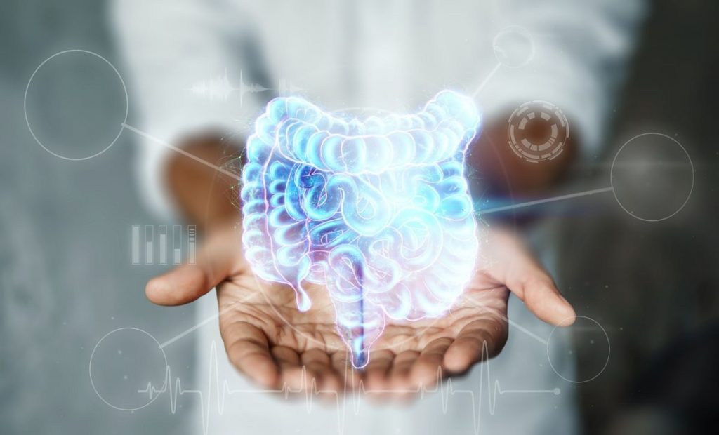 dia-mundial-de-la-salud-digestiva-habitos-que-transformaran-tu-vida