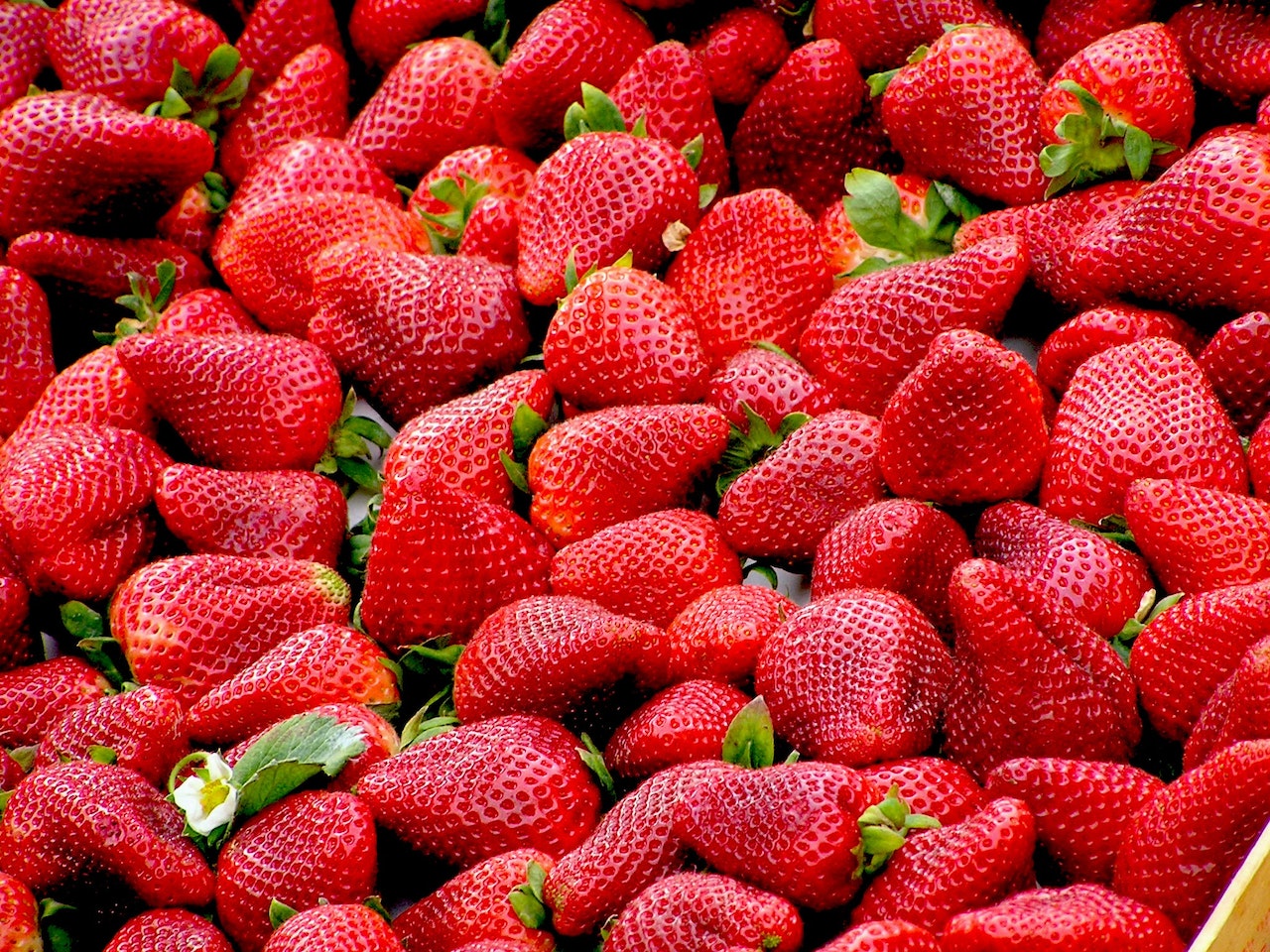 EU investiga presunto brote de hepatitis A en fresas mexicanas