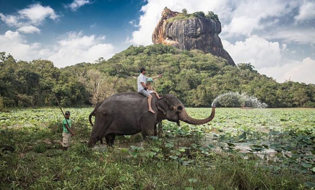 Sigiriya, un paraíso en Sri Lanka donde hay más elefantes que personas