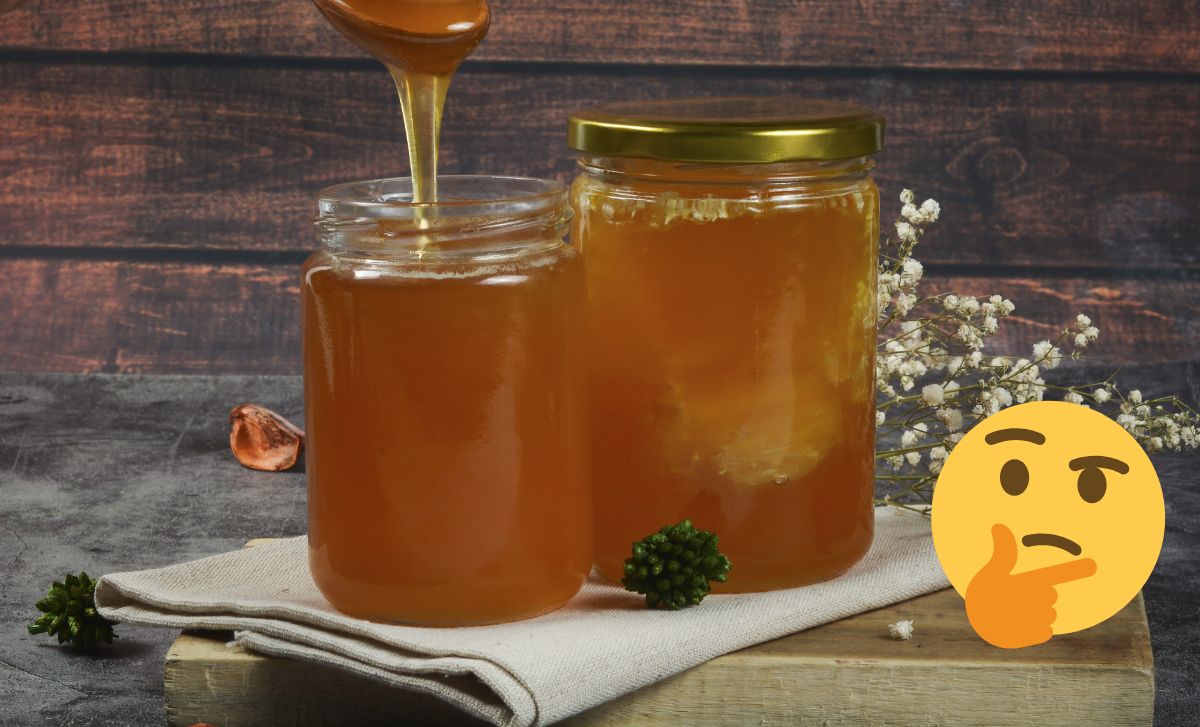 Cómo distinguir la miel pura de abeja
