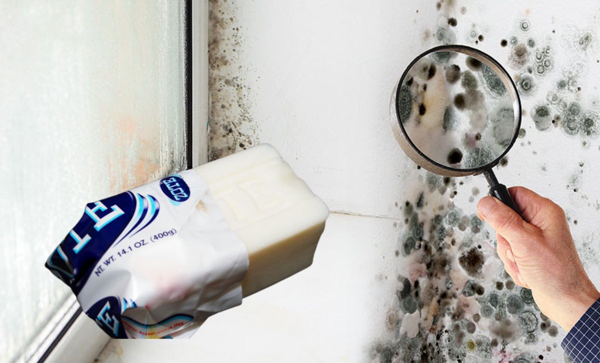Cómo eliminar la humedad de tu casa con esta mezcla con jabón zote