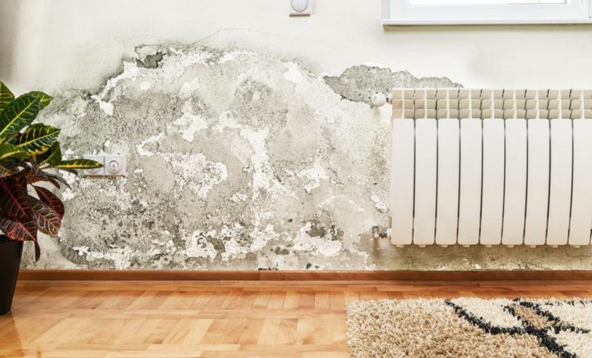 Método de 7 acciones para ventilar la casa y eliminar la humedad en paredes