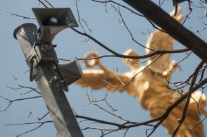 ¿Sismo? Autoridades confirman que alerta sísmica en CDMX se activó por error