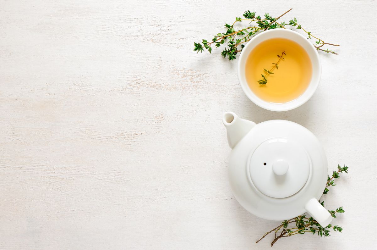 Los 6 tipos de té que se conocen en todo el mundo