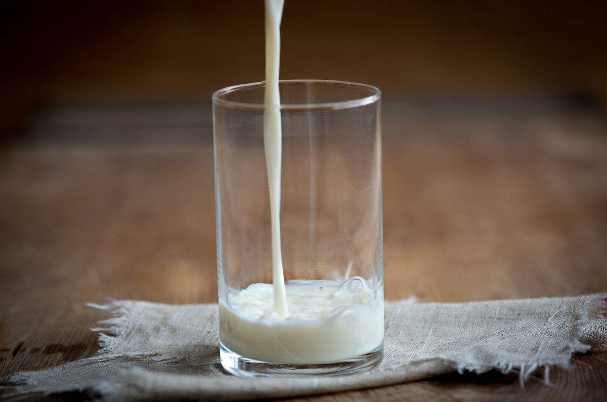 Datos curiosos sobre la leche que no sabías