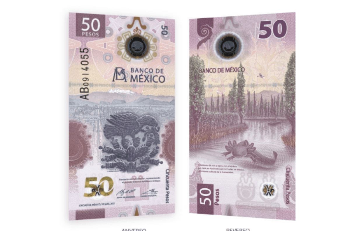 Banxico emite importante aviso sobre el billete del ajolote de 50 pesos