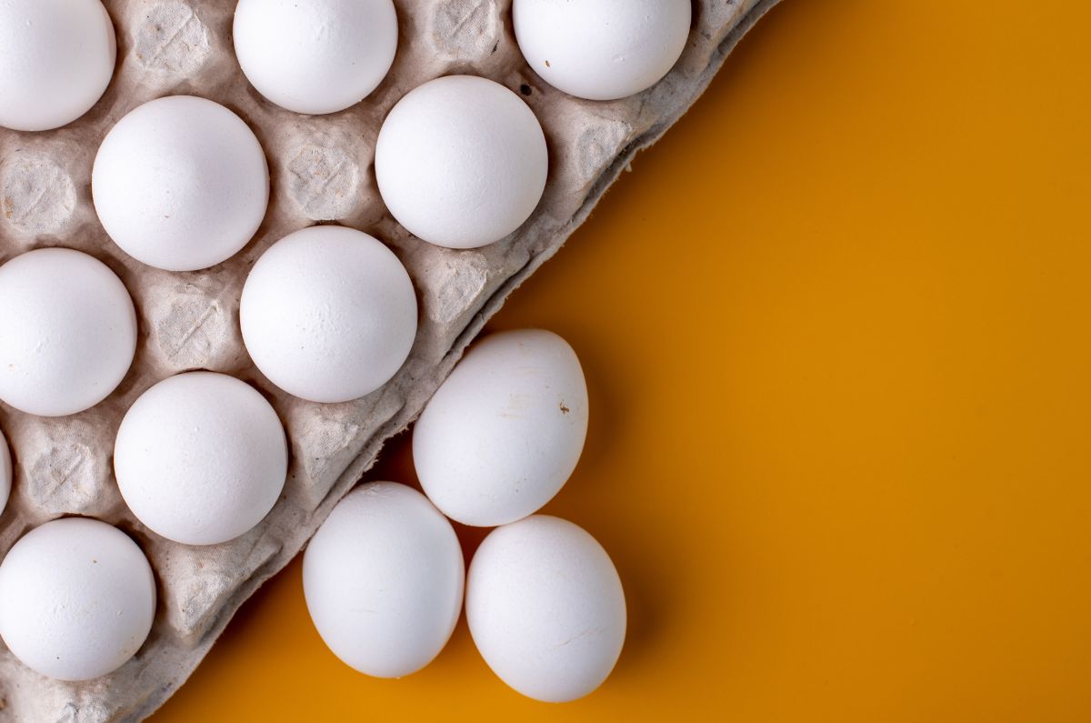 ¿Por qué aumentó el precio del huevo en México?