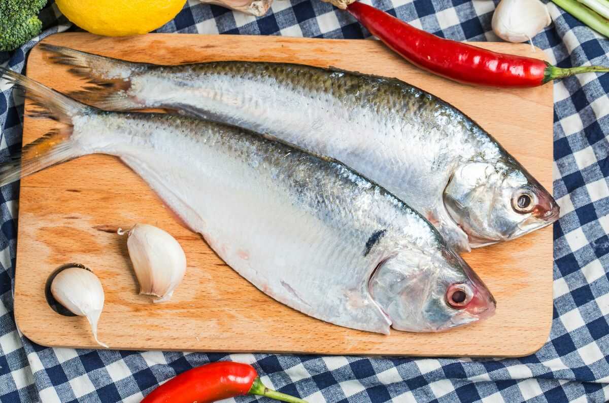 Trucos para escoger pescado fresco fácilmente y evitar intoxicación