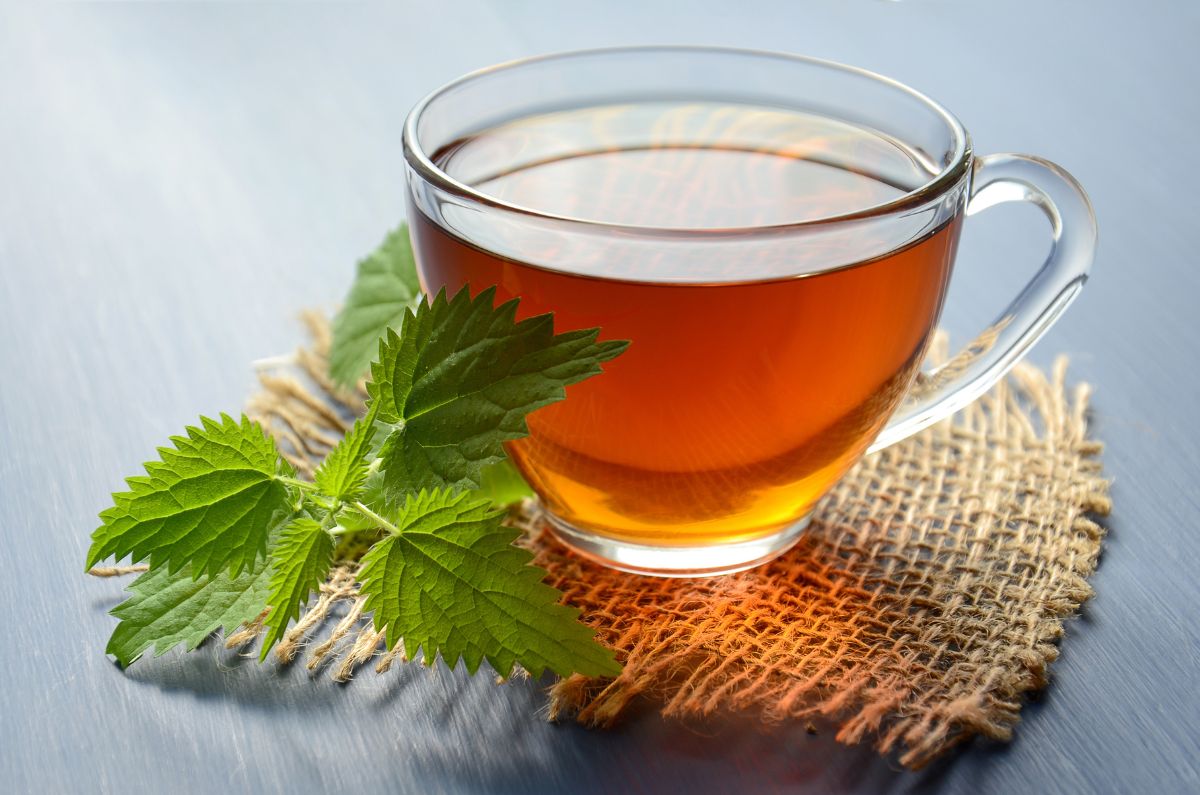 ¿Cuáles son las diferencias entre té y tisana?
