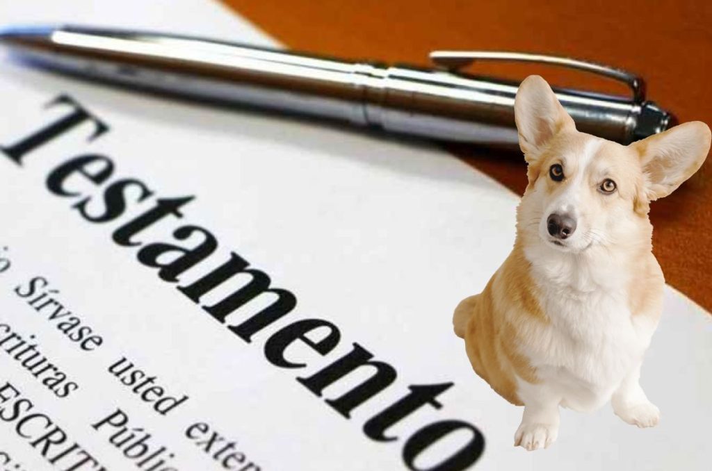 Imagen de un testamento con un perrito