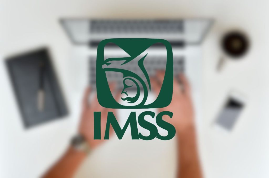 Logo del IMSS