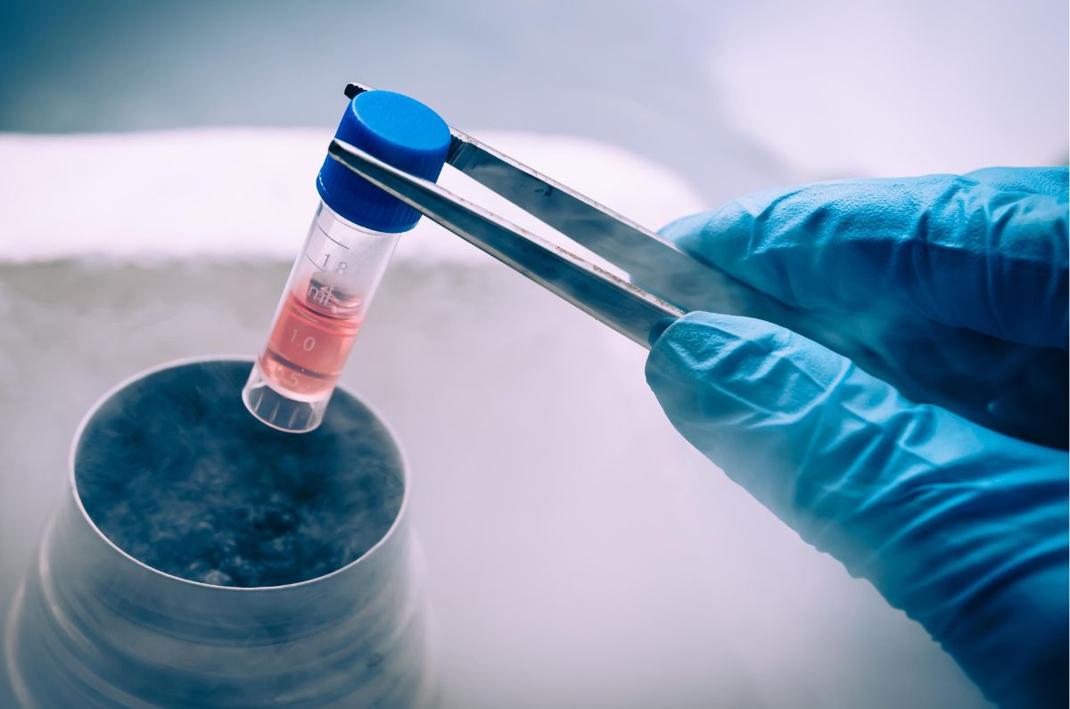Tratamientos con células madre: ¿Para qué sirven?