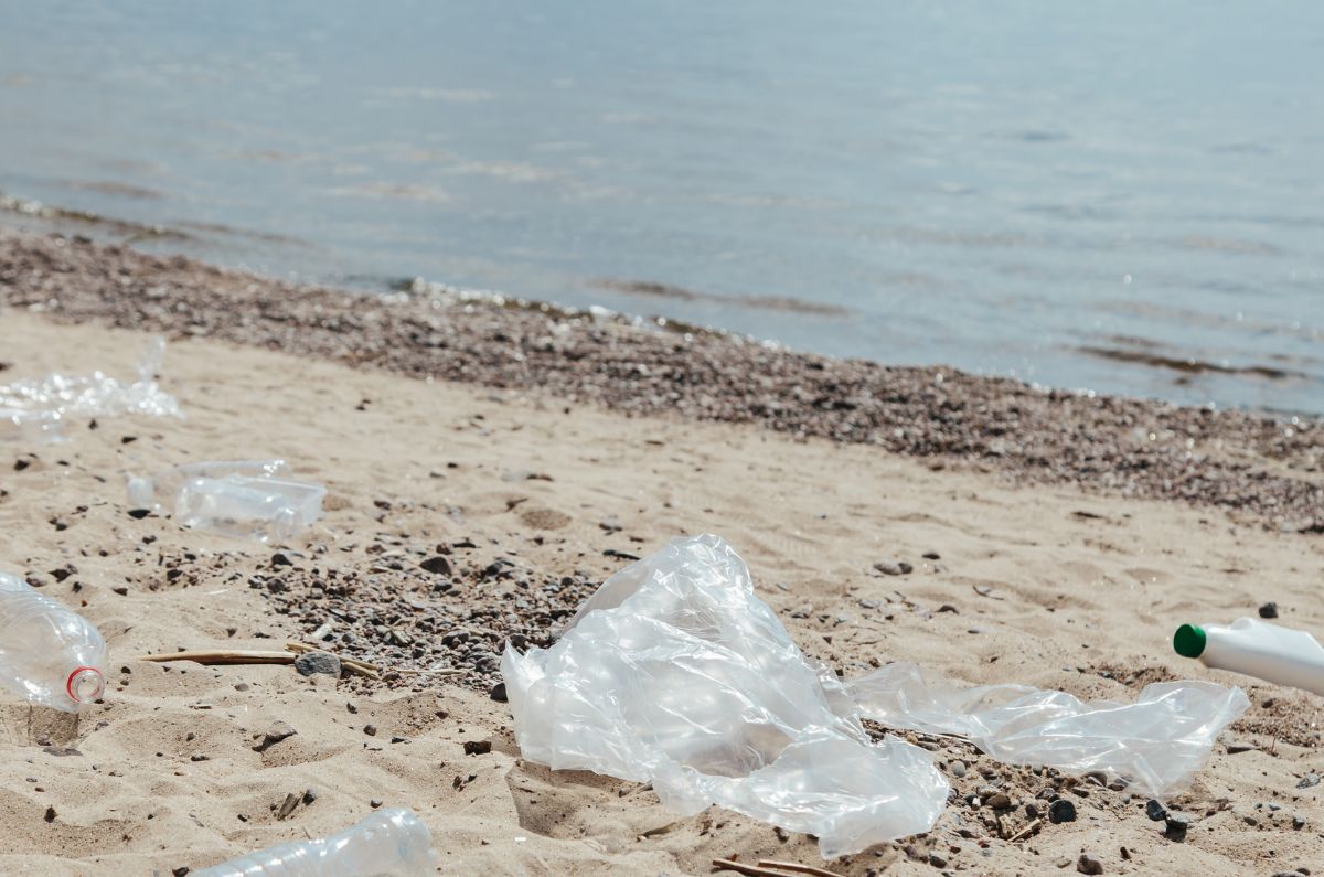 ¿Vas de vacaciones? Conoce las playas más contaminadas de México