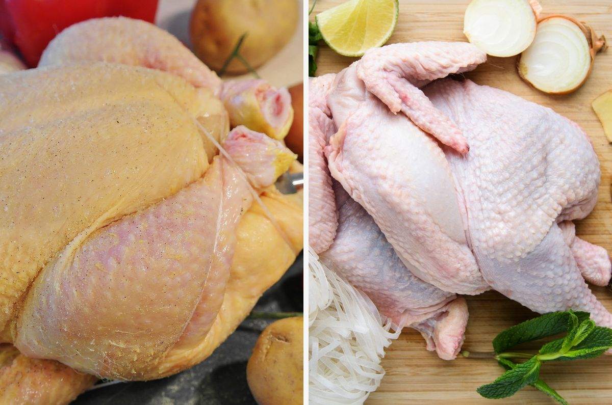 Pollo amarillo o blanco, ¿Cuál es más saludable?