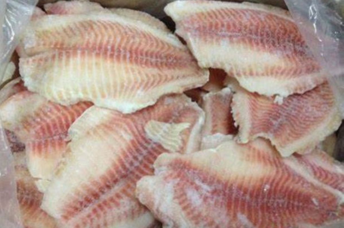 Por este fraude el pescado tilapia es ‘aparentemente’ más económico