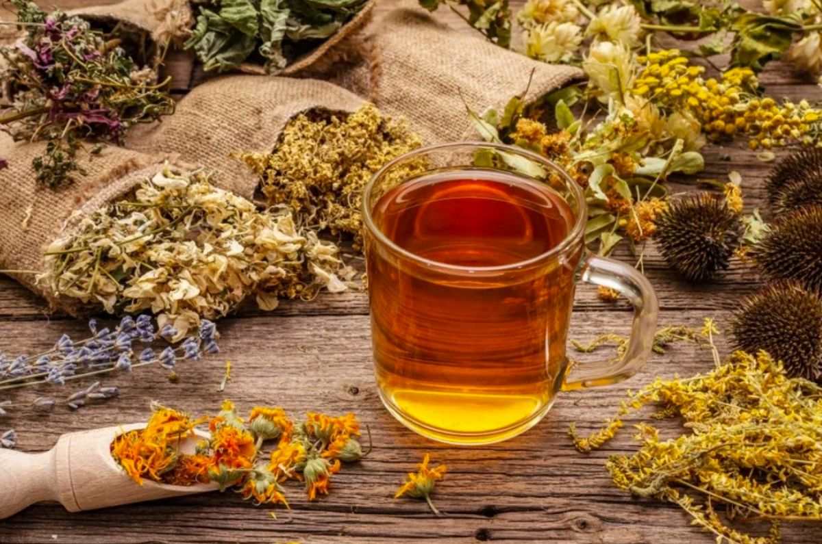 ¿Qué es el té de abango y por qué ayuda a tus pulmones?