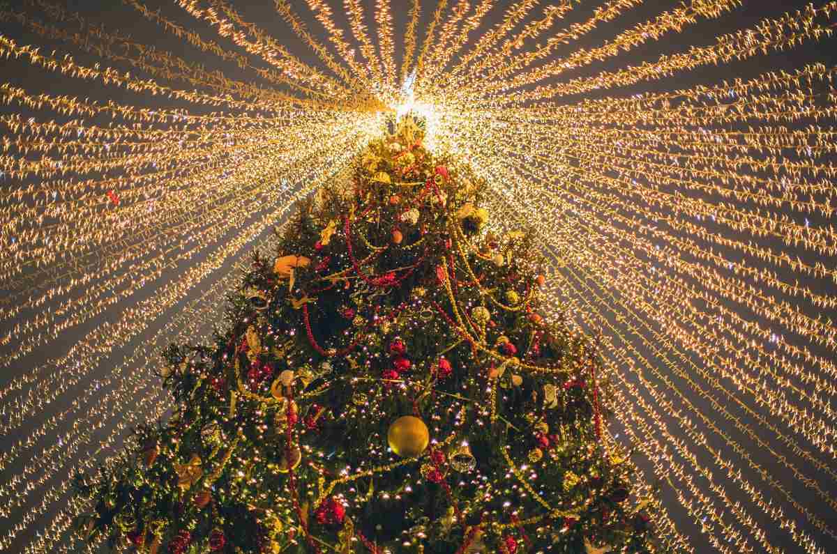 ¿Dónde se ubican los árboles navideños de las Alcaldías de la CDMX?