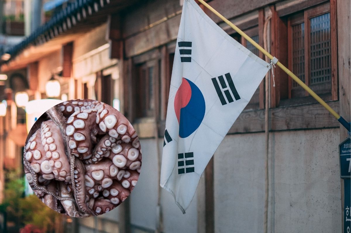 Sannakji, el pulpo que se come vivo en Corea del Sur