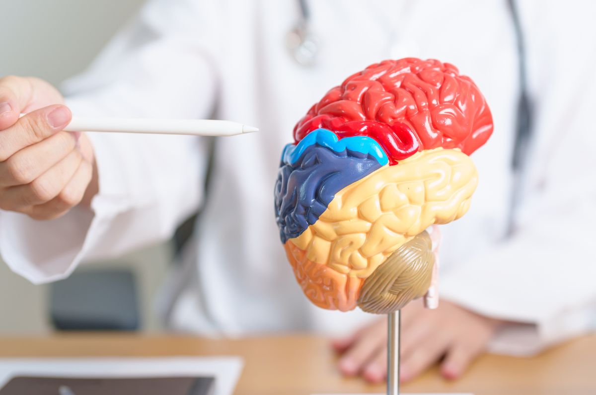 Tips para cuidar la salud de tu cerebro