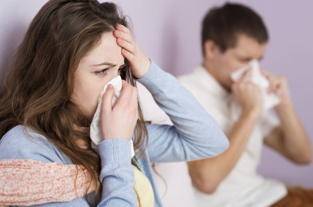 Alimentos antigripales