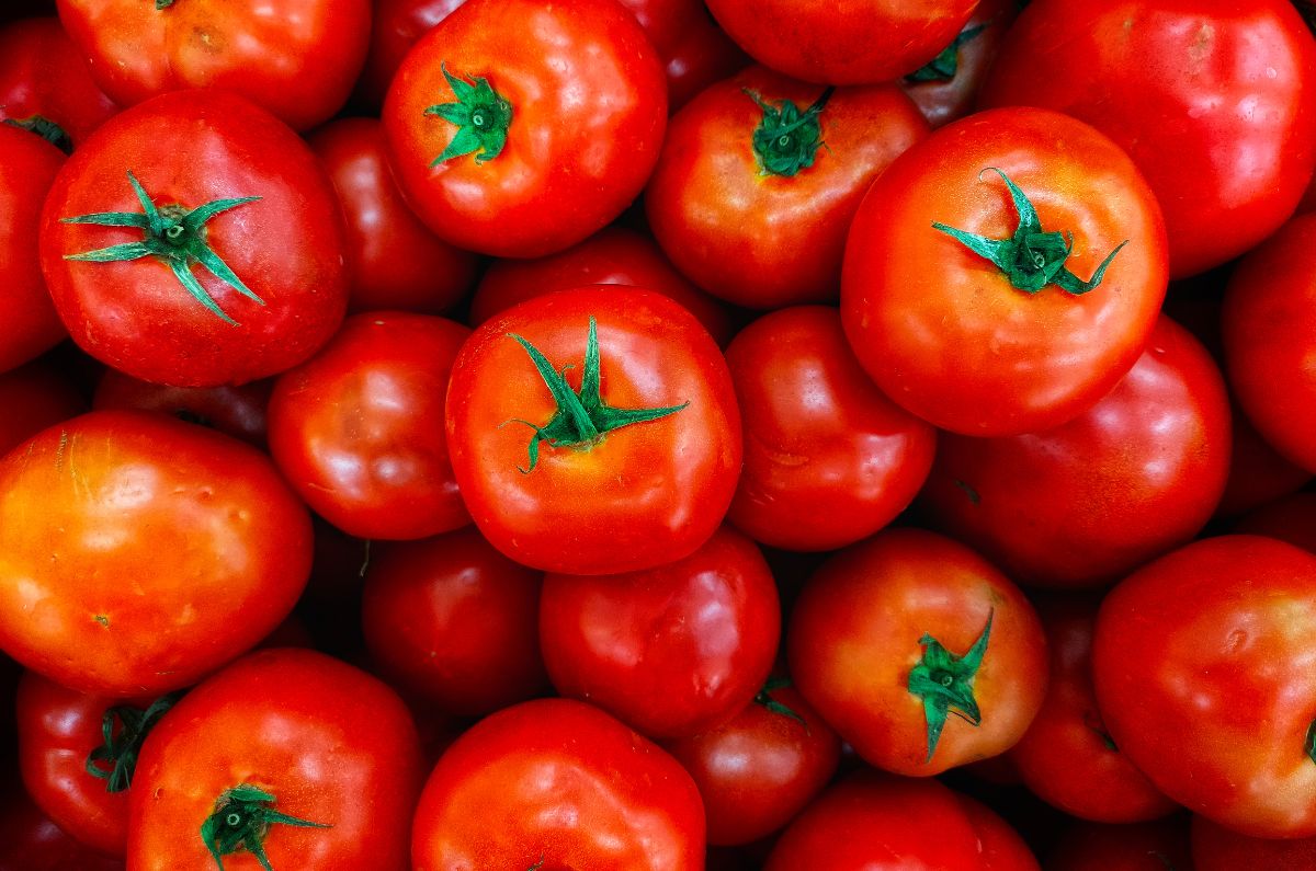 ¿Por qué aumentó el precio del jitomate o tomate rojo en México?