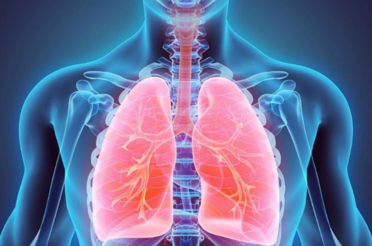 Mejorar la salud: Entendiendo las Enfermedades Respiratorias