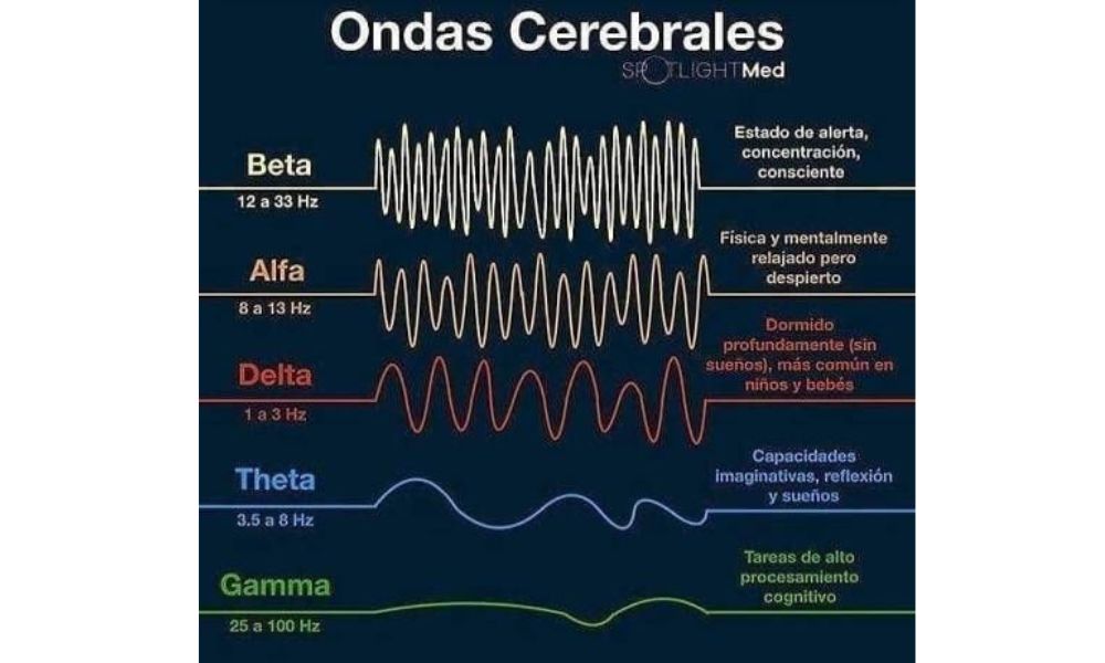 Medición de ondas cerebrales