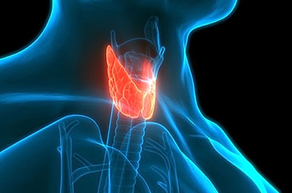 Perfil tiroideo: La ruta óptima a la salud y el bienestar