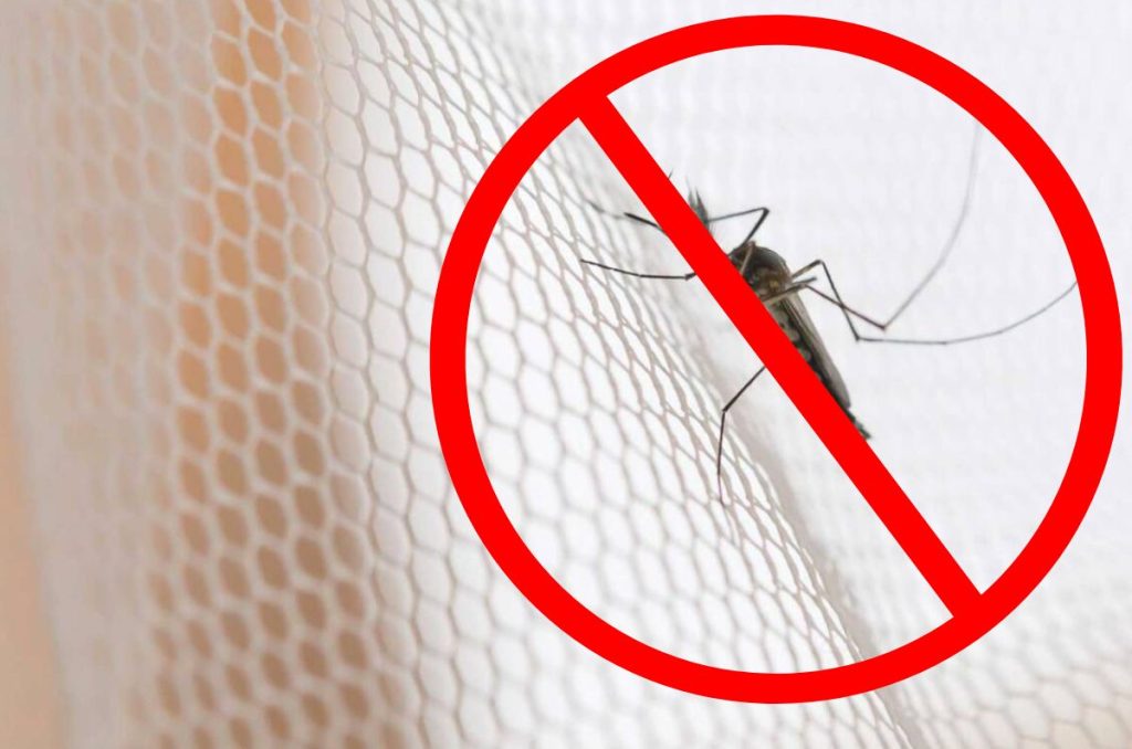 Si quieres saber cómo ahuyentar mosquitos, descubre los mejores remedios caseros para dormir sin la molestia y picaduras.