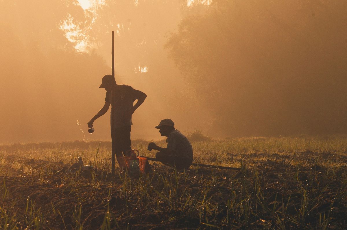 Dar un jornal seguro y permanente a campesinos.