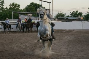 Los 7 deportes mexicanos tradicionales por excelencia