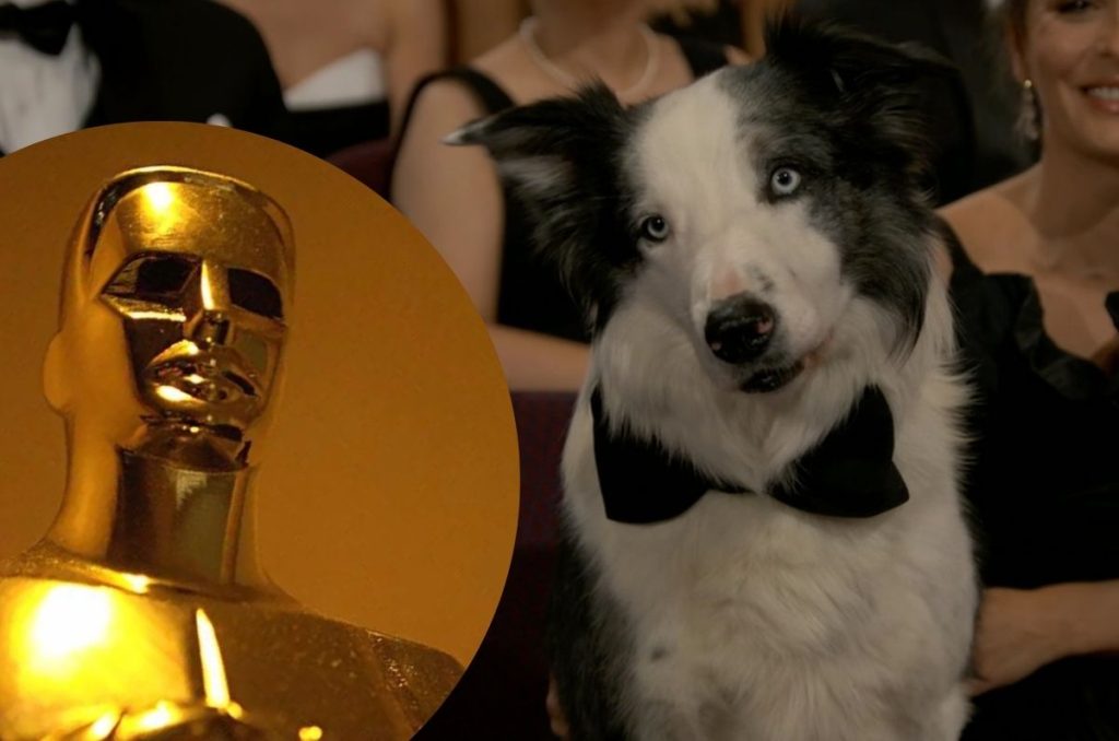 Messi el perro se llevó los reflectores, pero a continuación te presentamos los momentos clave de los Premios Oscar 2024.