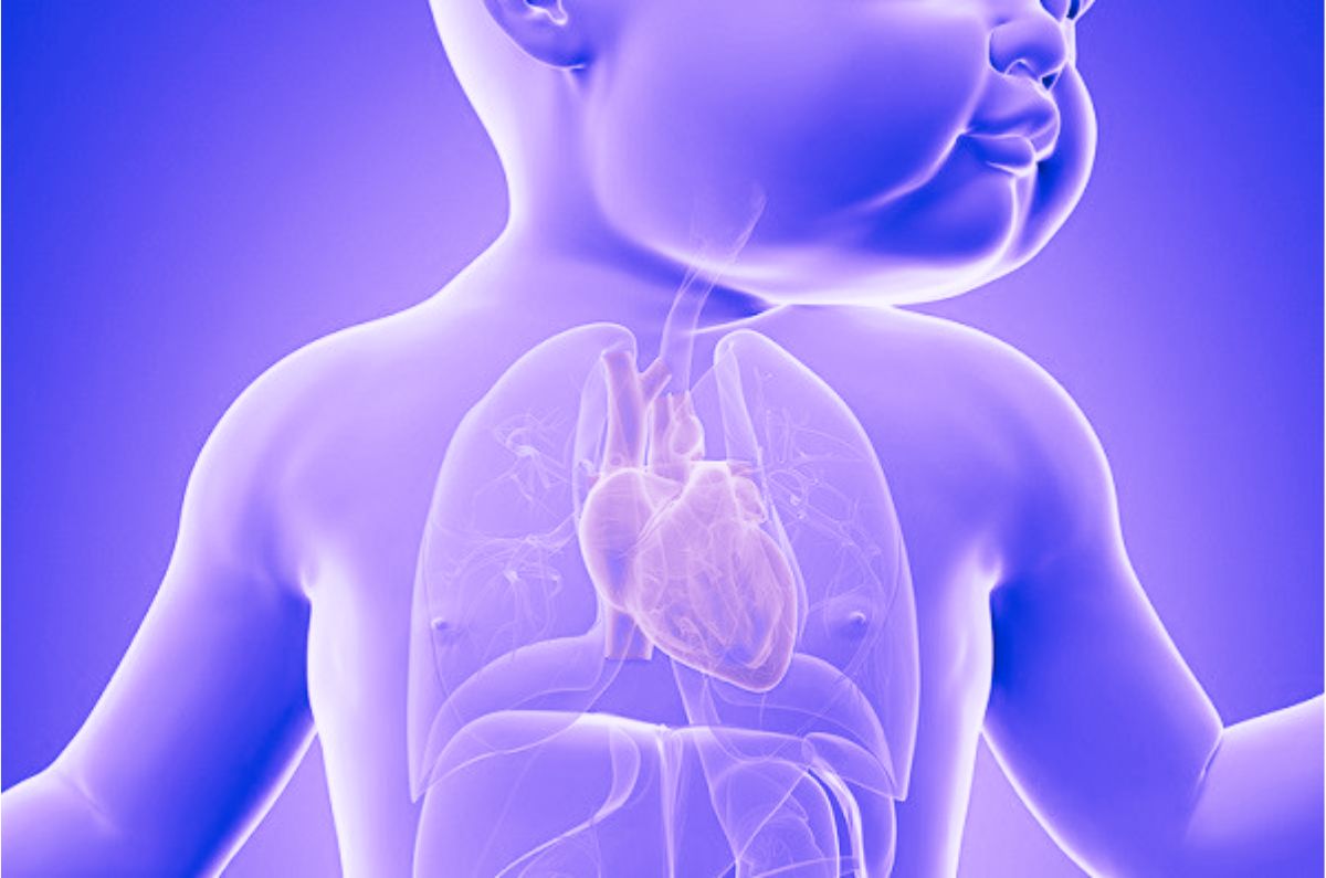 Cardiopatía congénita: Retos y opciones de tratamientos